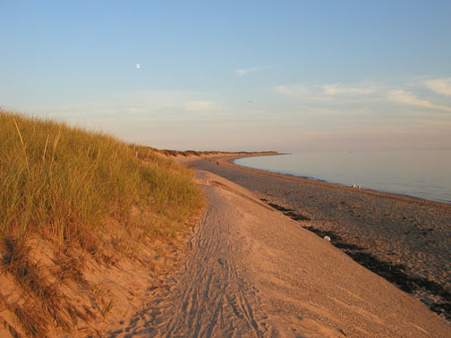 7-Seashore2