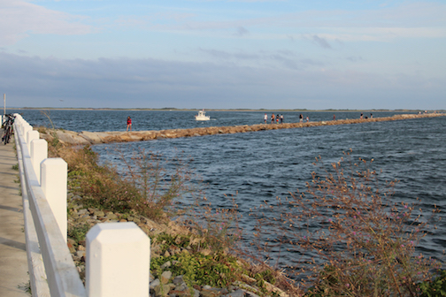 Breakwater-high-tide