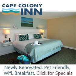 CapeColonyInn