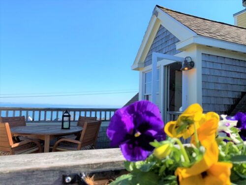 Aerie House