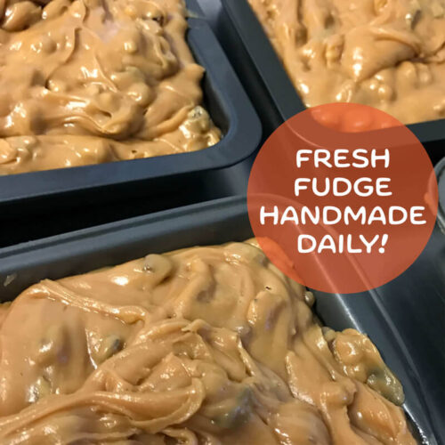World-famous handmade Fudge!