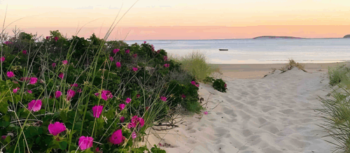 Bookstore & Restaurant