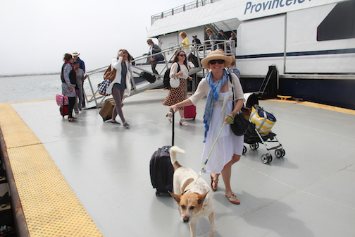 Provincetown Harbor Transportation Ferry