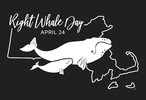 Right Whale Day