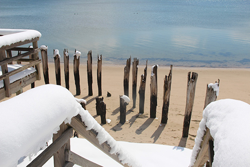 Provincetown Winter ~ Old Waterfront Pilings